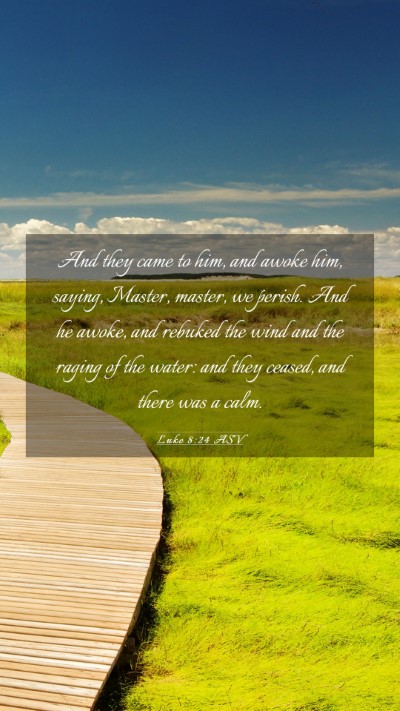 Picture 03 - Luke 8:24 ASV Mobile Phone Wallpaper - And they came to him, and awoke him, saying, - Mobile Bible Verse Wallpaper