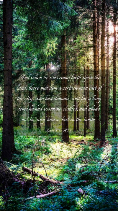 Picture 03 - Luke 8:27 ASV Mobile Phone Wallpaper - And when he was come forth upon the land, there - Mobile Bible Verse Wallpaper