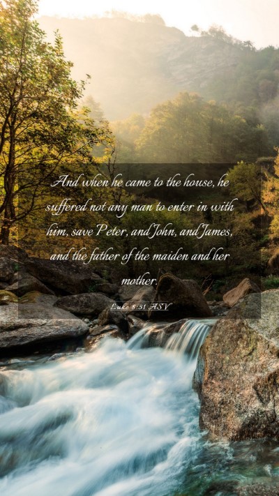 Picture 03 - Luke 8:51 ASV Mobile Phone Wallpaper - And when he came to the house, he suffered not - Mobile Bible Verse Wallpaper