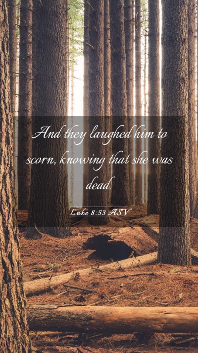 Picture 03 - Luke 8:53 ASV Mobile Phone Wallpaper - And they laughed him to scorn, knowing that she - Mobile Bible Verse Wallpaper