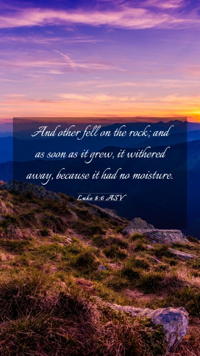Picture 03 - Luke 8:6 ASV Mobile Phone Wallpaper - And other fell on the rock; and as soon as it - Mobile Bible Verse Wallpaper