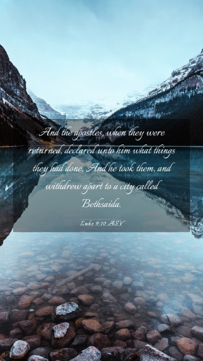 Picture 03 - Luke 9:10 ASV Mobile Phone Wallpaper - And the apostles, when they were returned, - Mobile Bible Verse Wallpaper