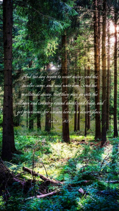 Picture 03 - Luke 9:12 ASV Mobile Phone Wallpaper - And the day began to wear away; and the twelve - Mobile Bible Verse Wallpaper