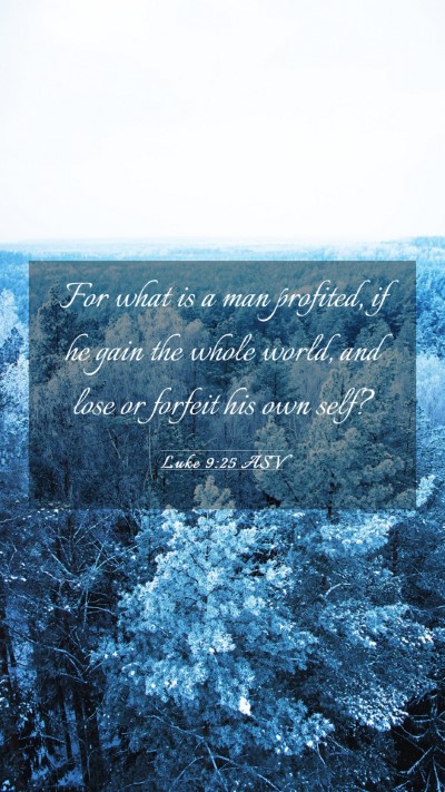 Picture 03 - Luke 9:25 ASV Mobile Phone Wallpaper - For what is a man profited, if he gain the whole - Mobile Bible Verse Wallpaper