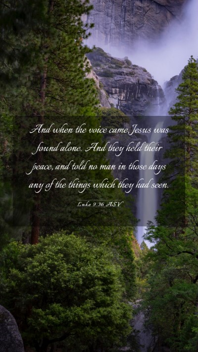 Picture 03 - Luke 9:36 ASV Mobile Phone Wallpaper - And when the voice came, Jesus was found alone. - Mobile Bible Verse Wallpaper
