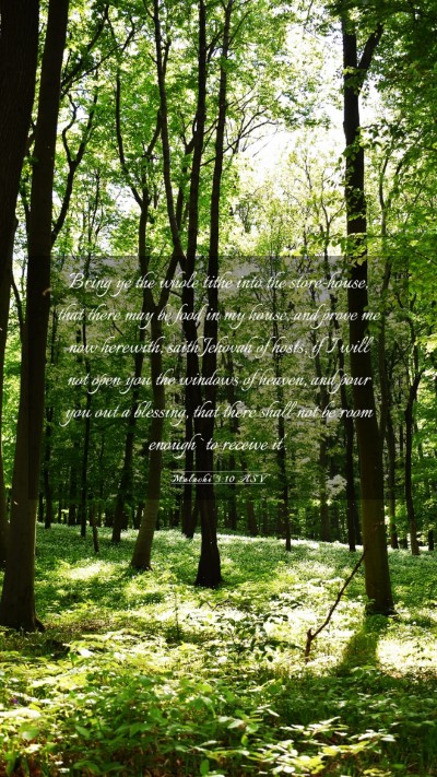 Picture 03 - Malachi 3:10 ASV Mobile Phone Wallpaper - Bring ye the whole tithe into the store-house, - Mobile Bible Verse Wallpaper
