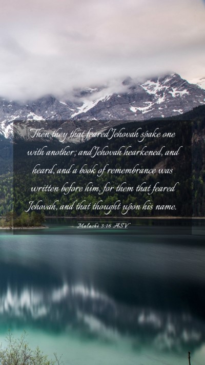Picture 03 - Malachi 3:16 ASV Mobile Phone Wallpaper - Then they that feared Jehovah spake one with - Mobile Bible Verse Wallpaper
