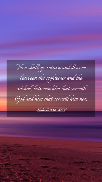 Picture 03 - Malachi 3:18 ASV Mobile Phone Wallpaper - Then shall ye return and discern between the - Mobile Bible Verse Wallpaper