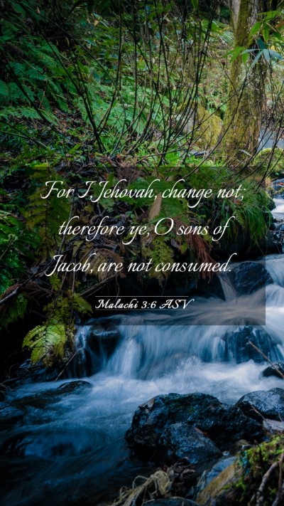 Picture 03 - Malachi 3:6 ASV Mobile Phone Wallpaper - For I, Jehovah, change not; therefore ye, O sons - Mobile Bible Verse Wallpaper