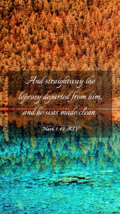 Picture 03 - Mark 1:42 ASV Mobile Phone Wallpaper - And straightway the leprosy departed from him, - Mobile Bible Verse Wallpaper