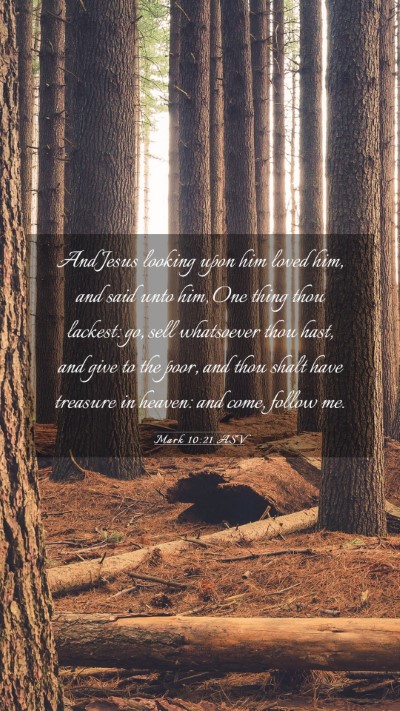 Picture 03 - Mark 10:21 ASV Mobile Phone Wallpaper - And Jesus looking upon him loved him, and said - Mobile Bible Verse Wallpaper