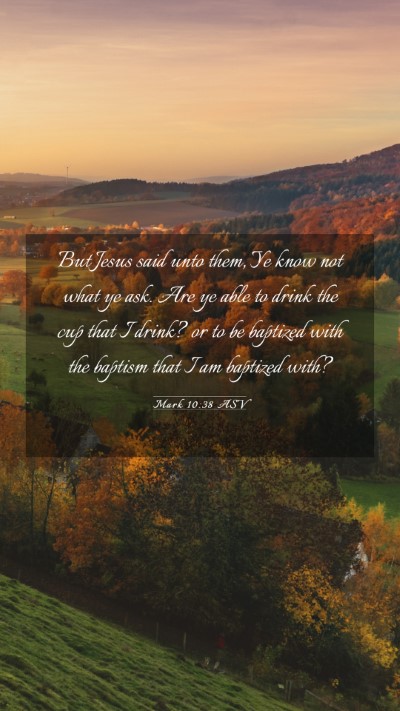 Picture 03 - Mark 10:38 ASV Mobile Phone Wallpaper - But Jesus said unto them, Ye know not what ye - Mobile Bible Verse Wallpaper