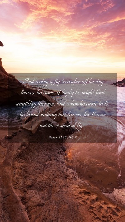 Picture 03 - Mark 11:13 ASV Mobile Phone Wallpaper - And seeing a fig tree afar off having leaves, he - Mobile Bible Verse Wallpaper