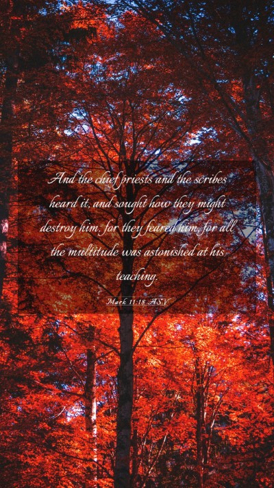 Picture 03 - Mark 11:18 ASV Mobile Phone Wallpaper - And the chief priests and the scribes heard it, - Mobile Bible Verse Wallpaper