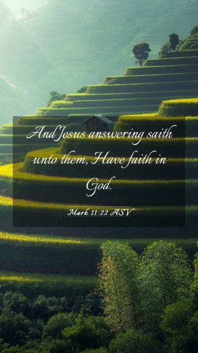 Picture 03 - Mark 11:22 ASV Mobile Phone Wallpaper - And Jesus answering saith unto them, Have faith - Mobile Bible Verse Wallpaper