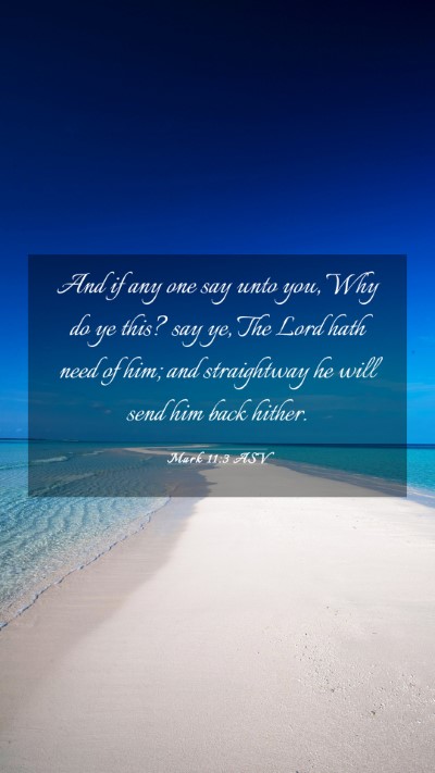 Picture 03 - Mark 11:3 ASV Mobile Phone Wallpaper - And if any one say unto you, Why do ye this? say - Mobile Bible Verse Wallpaper