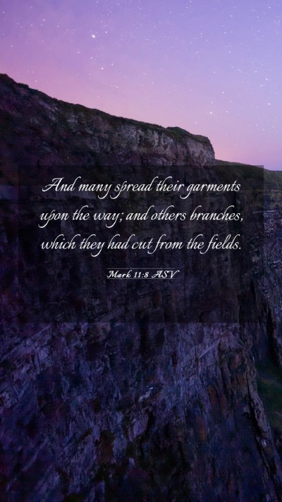 Picture 03 - Mark 11:8 ASV Mobile Phone Wallpaper - And many spread their garments upon the way; and - Mobile Bible Verse Wallpaper