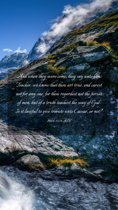 Picture 03 - Mark 12:14 ASV Mobile Phone Wallpaper - And when they were come, they say unto him, - Mobile Bible Verse Wallpaper