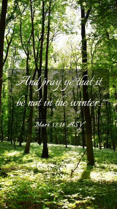 Picture 03 - Mark 13:18 ASV Mobile Phone Wallpaper - And pray ye that it be not in the - Mobile Bible Verse Wallpaper