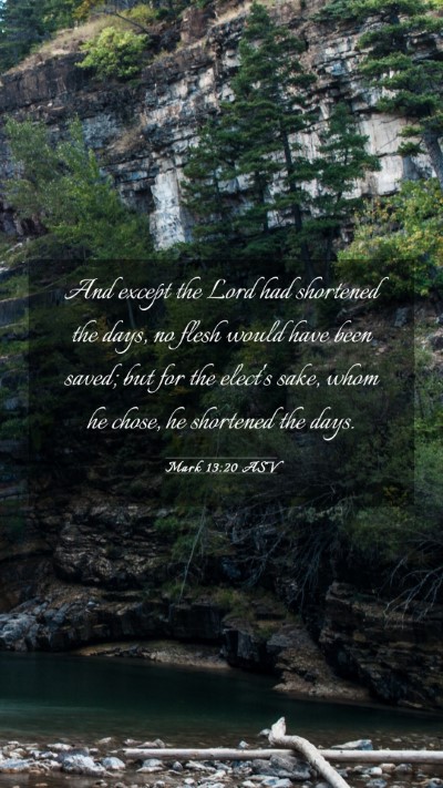 Picture 03 - Mark 13:20 ASV Mobile Phone Wallpaper - And except the Lord had shortened the days, no - Mobile Bible Verse Wallpaper
