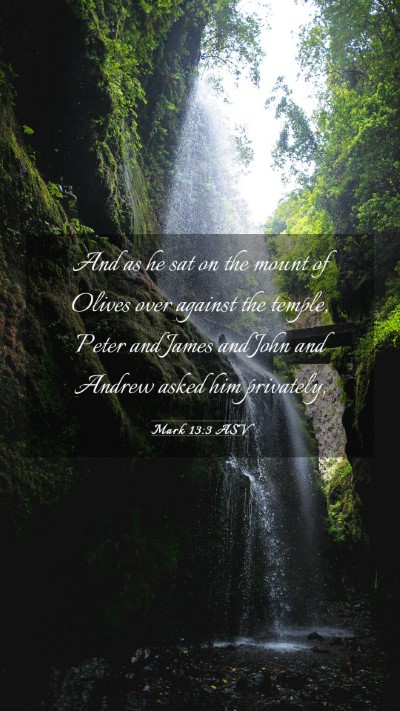 Picture 03 - Mark 13:3 ASV Mobile Phone Wallpaper - And as he sat on the mount of Olives over against - Mobile Bible Verse Wallpaper