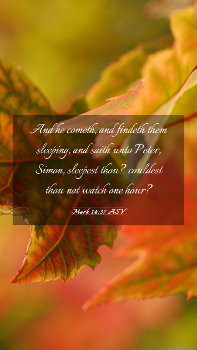 Picture 03 - Mark 14:37 ASV Mobile Phone Wallpaper - And he cometh, and findeth them sleeping, and - Mobile Bible Verse Wallpaper