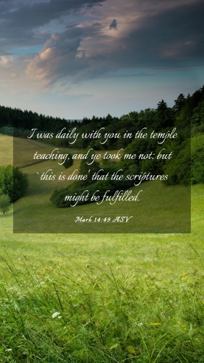 Picture 03 - Mark 14:49 ASV Mobile Phone Wallpaper - I was daily with you in the temple teaching, and - Mobile Bible Verse Wallpaper
