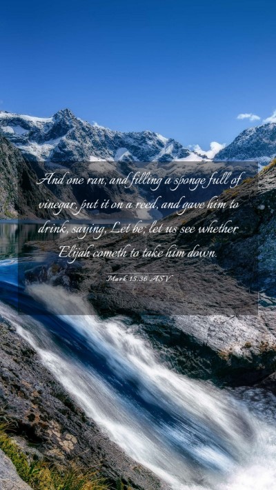 Picture 03 - Mark 15:36 ASV Mobile Phone Wallpaper - And one ran, and filling a sponge full of - Mobile Bible Verse Wallpaper
