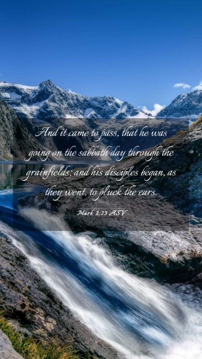 Picture 03 - Mark 2:23 ASV Mobile Phone Wallpaper - And it came to pass, that he was going on the - Mobile Bible Verse Wallpaper