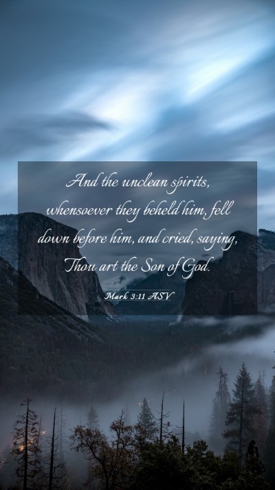 Picture 03 - Mark 3:11 ASV Mobile Phone Wallpaper - And the unclean spirits, whensoever they beheld - Mobile Bible Verse Wallpaper