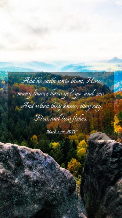 Picture 03 - Mark 6:38 ASV Mobile Phone Wallpaper - And he saith unto them, How many loaves have ye? - Mobile Bible Verse Wallpaper