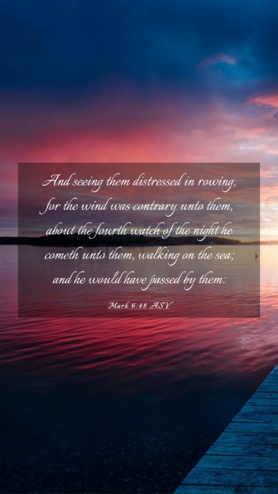 Picture 03 - Mark 6:48 ASV Mobile Phone Wallpaper - And seeing them distressed in rowing, for the - Mobile Bible Verse Wallpaper