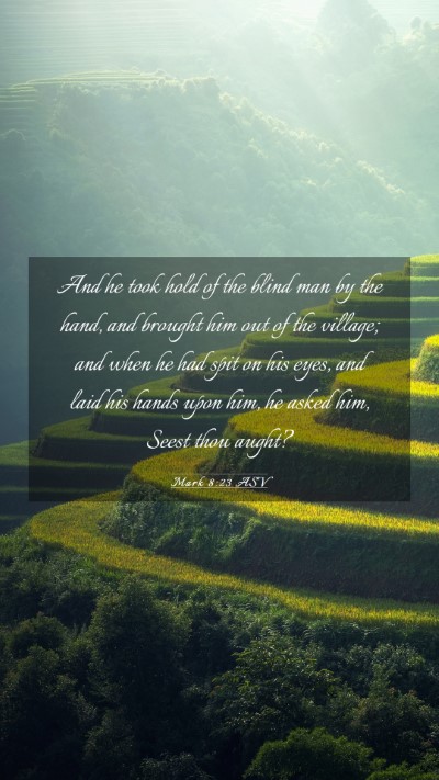 Picture 03 - Mark 8:23 ASV Mobile Phone Wallpaper - And he took hold of the blind man by the hand, - Mobile Bible Verse Wallpaper