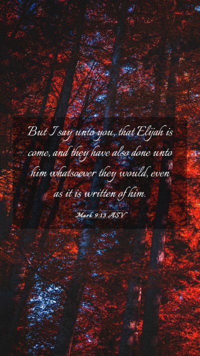 Picture 03 - Mark 9:13 ASV Mobile Phone Wallpaper - But I say unto you, that Elijah is come, and they - Mobile Bible Verse Wallpaper