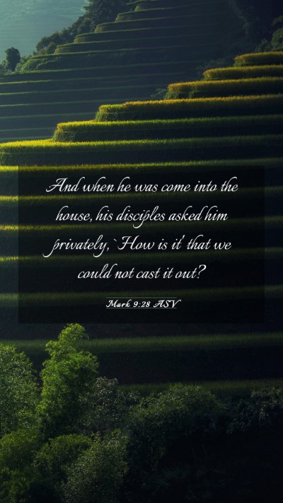 Picture 03 - Mark 9:28 ASV Mobile Phone Wallpaper - And when he was come into the house, his - Mobile Bible Verse Wallpaper