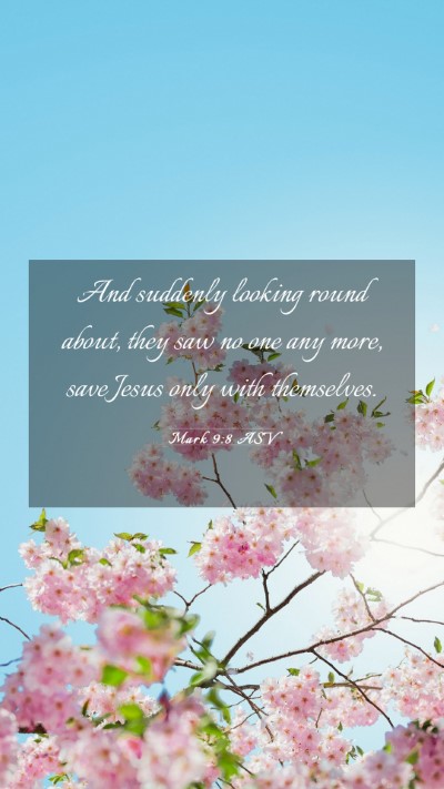 Picture 03 - Mark 9:8 ASV Mobile Phone Wallpaper - And suddenly looking round about, they saw no one - Mobile Bible Verse Wallpaper