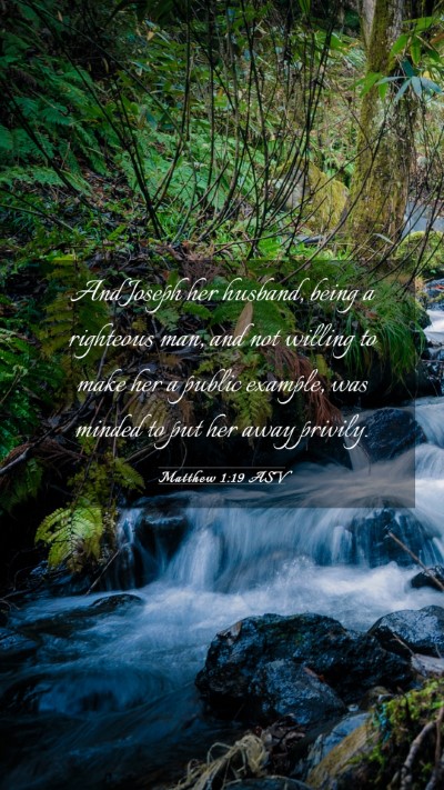 Picture 03 - Matthew 1:19 ASV Mobile Phone Wallpaper - And Joseph her husband, being a righteous man, - Mobile Bible Verse Wallpaper