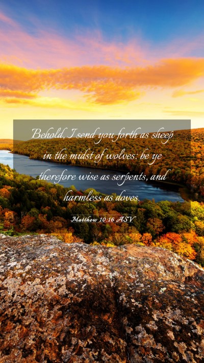 Picture 03 - Matthew 10:16 ASV Mobile Phone Wallpaper - Behold, I send you forth as sheep in the midst of - Mobile Bible Verse Wallpaper