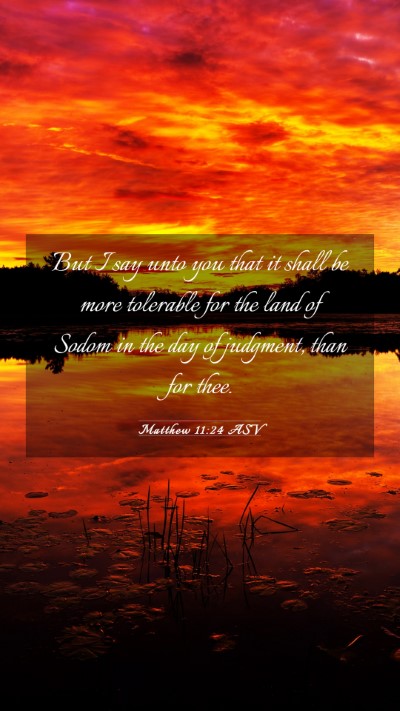 Picture 03 - Matthew 11:24 ASV Mobile Phone Wallpaper - But I say unto you that it shall be more - Mobile Bible Verse Wallpaper
