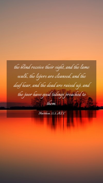 Picture 03 - Matthew 11:5 ASV Mobile Phone Wallpaper - the blind receive their sight, and the lame walk, - Mobile Bible Verse Wallpaper