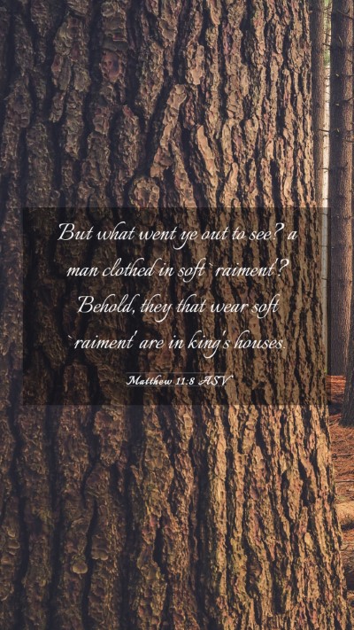 Picture 03 - Matthew 11:8 ASV Mobile Phone Wallpaper - But what went ye out to see? a man clothed in - Mobile Bible Verse Wallpaper
