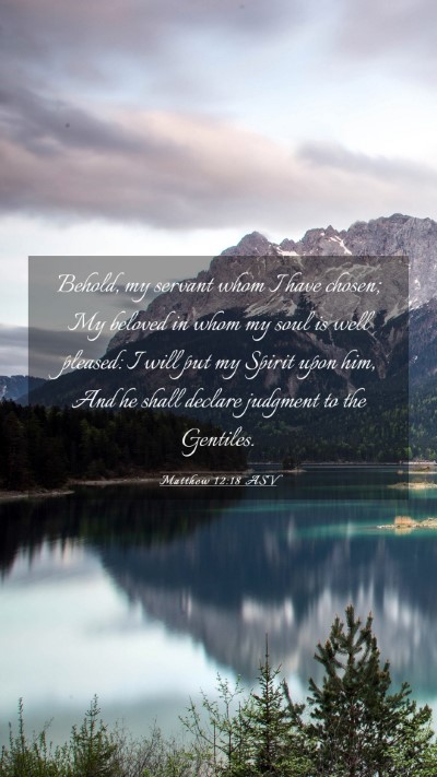Picture 03 - Matthew 12:18 ASV Mobile Phone Wallpaper - Behold, my servant whom I have chosen; My beloved - Mobile Bible Verse Wallpaper