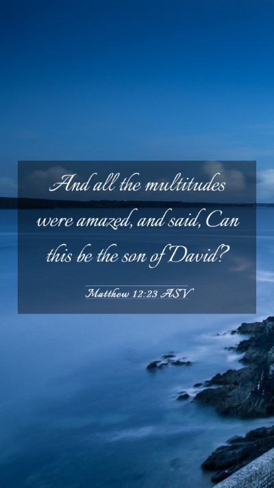 Picture 03 - Matthew 12:23 ASV Mobile Phone Wallpaper - And all the multitudes were amazed, and said, Can - Mobile Bible Verse Wallpaper