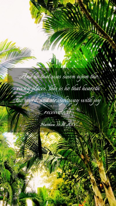 Picture 03 - Matthew 13:20 ASV Mobile Phone Wallpaper - And he that was sown upon the rocky places, this - Mobile Bible Verse Wallpaper