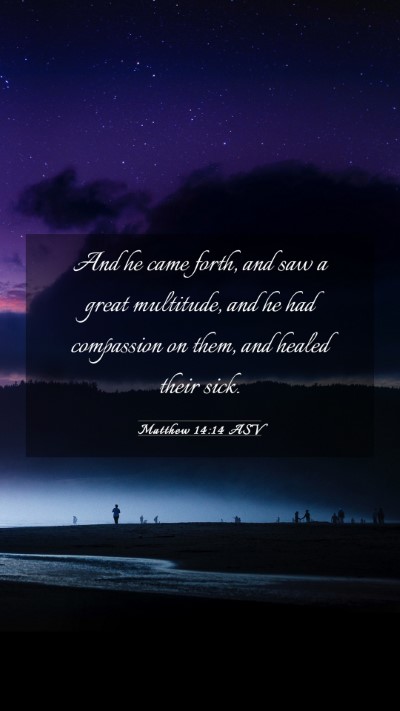 Picture 03 - Matthew 14:14 ASV Mobile Phone Wallpaper - And he came forth, and saw a great multitude, and - Mobile Bible Verse Wallpaper