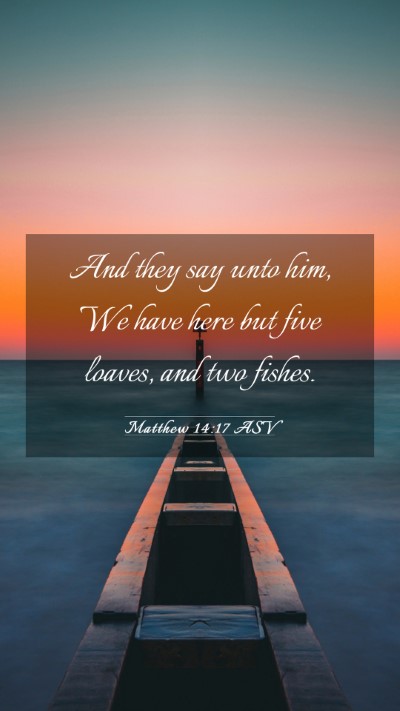 Picture 03 - Matthew 14:17 ASV Mobile Phone Wallpaper - And they say unto him, We have here but five - Mobile Bible Verse Wallpaper