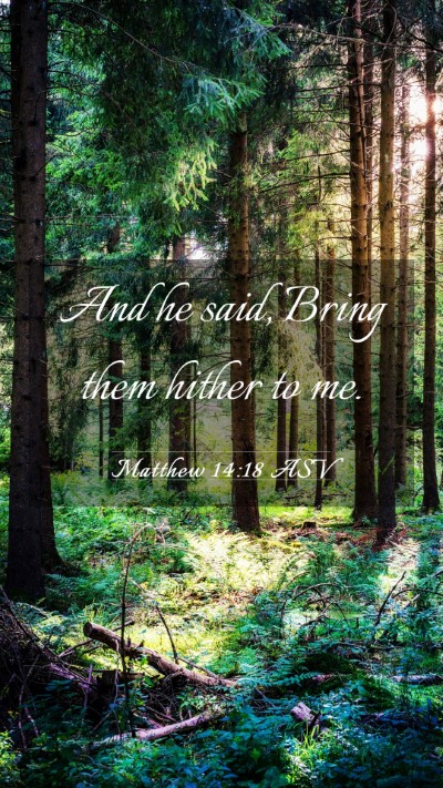 Picture 03 - Matthew 14:18 ASV Mobile Phone Wallpaper - And he said, Bring them hither to - Mobile Bible Verse Wallpaper
