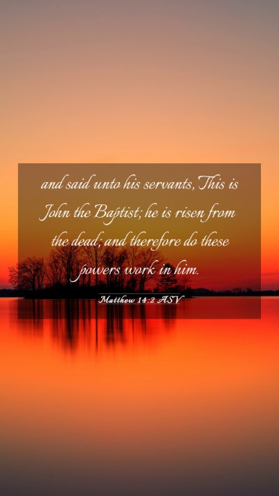 Picture 03 - Matthew 14:2 ASV Mobile Phone Wallpaper - and said unto his servants, This is John the - Mobile Bible Verse Wallpaper