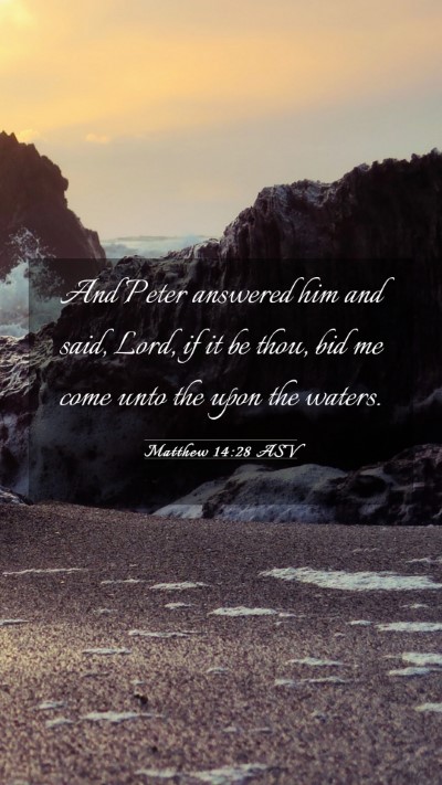 Picture 03 - Matthew 14:28 ASV Mobile Phone Wallpaper - And Peter answered him and said, Lord, if it be - Mobile Bible Verse Wallpaper