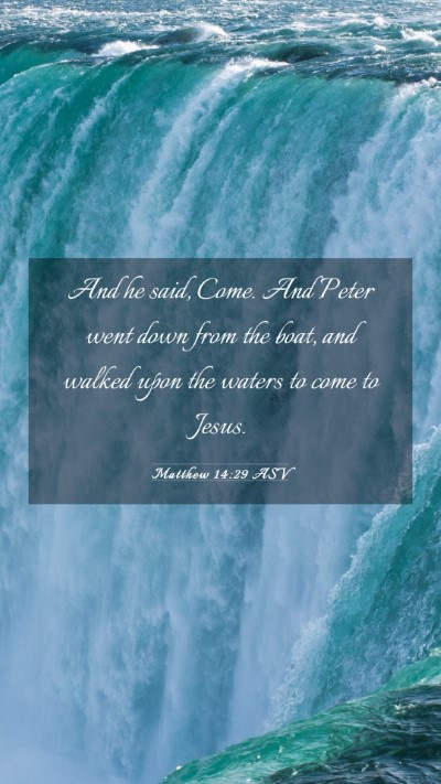 Picture 03 - Matthew 14:29 ASV Mobile Phone Wallpaper - And he said, Come. And Peter went down from the - Mobile Bible Verse Wallpaper